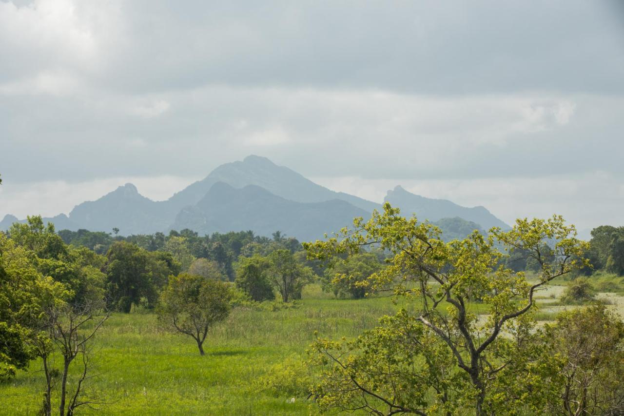 Sigiriya Wewa Addara Hotel - Hotel By The Lake Екстер'єр фото