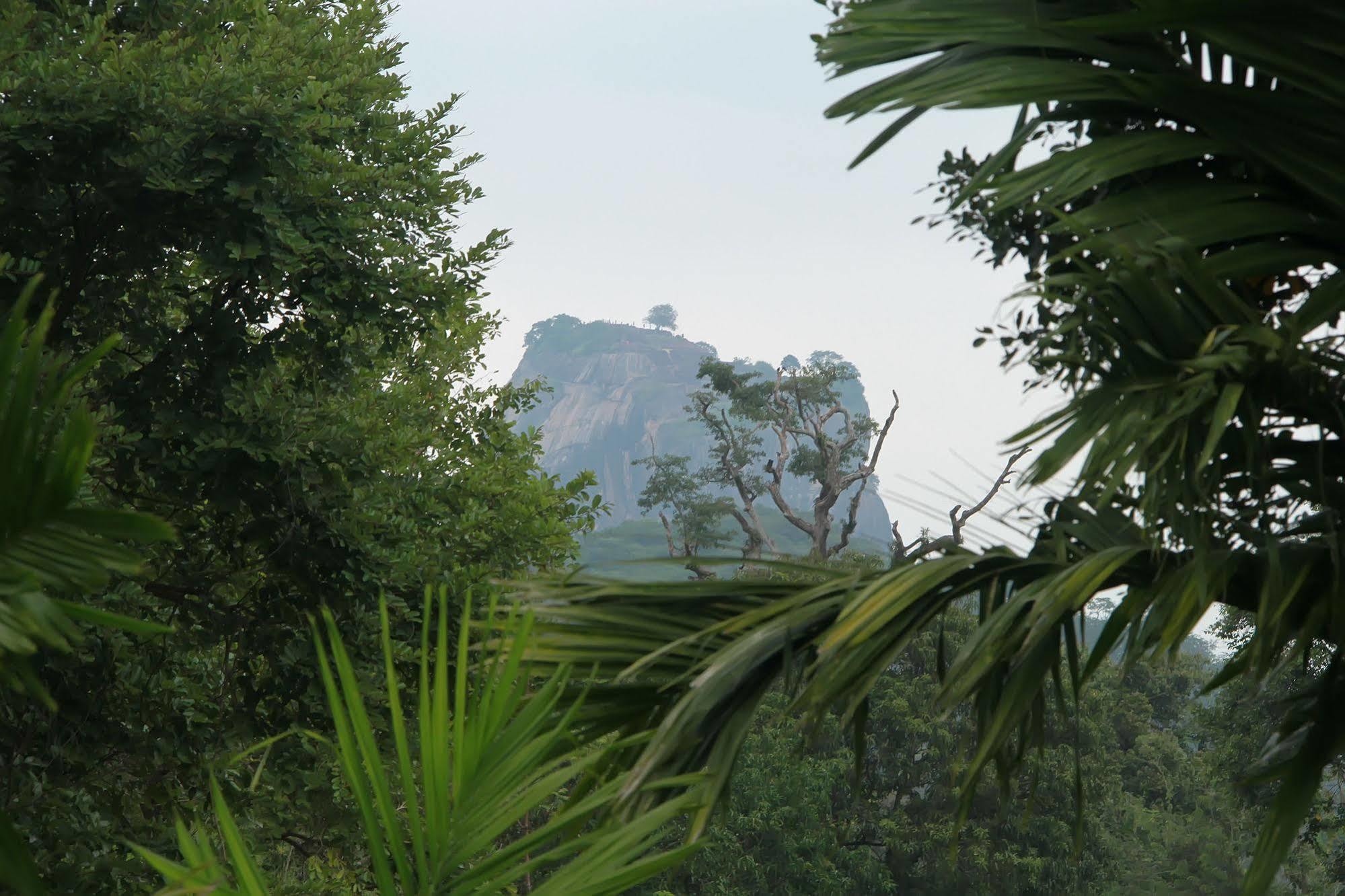 Sigiriya Wewa Addara Hotel - Hotel By The Lake Екстер'єр фото